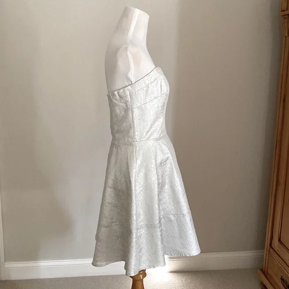 NWT EXPRESS Metallic Silver A-Line Strapless Party Dress Size 6 - Picture 4 of 12